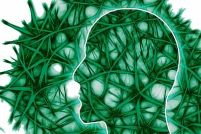 Facts about human brain1