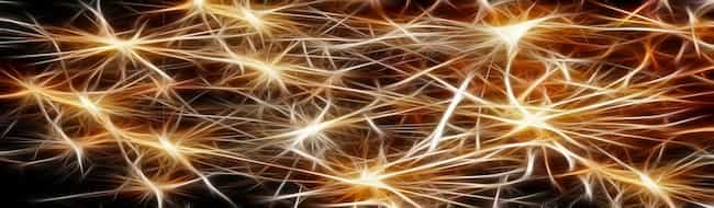 Facts about human brain2