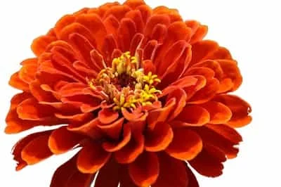 Miracles in Creation2