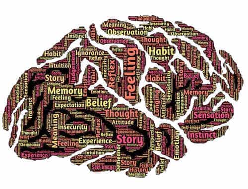 Miraculous Fact About Brain And Its Connection With Religious Scriptures Copy Parts Of Brain