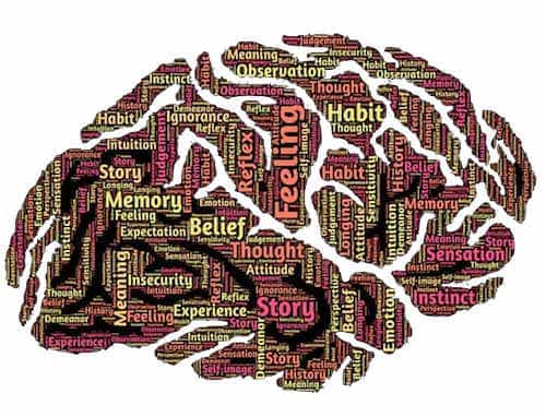 Parts of Brain