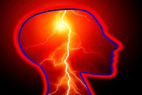 Miraculous Fact About Brain And Its Connection With Religious Scriptures Enhancing The Plasticity Of The Brain