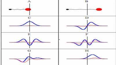 Quantum Tunneling Quantum Tunneling