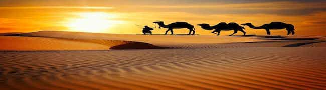 Ali Ibn Abu Talib2 Why Did Ayesha Battle With Ali