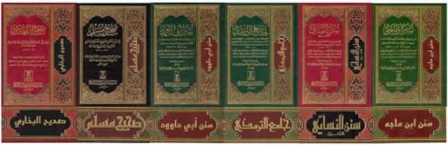 Books Of Sunnis Books Of Sunnis