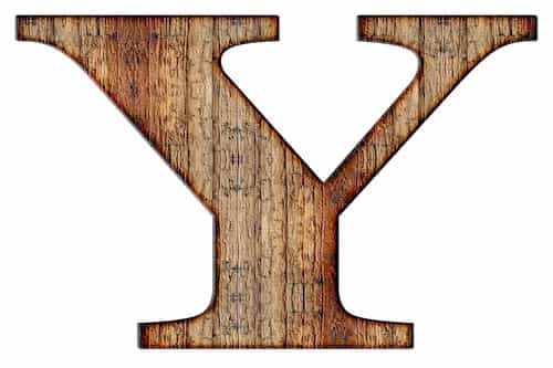 Wood textured letter Y