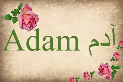 Adam آدم in Quran Adam آدم in Quran