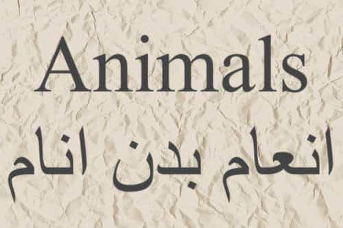 A List Of All The Animals Mentioned In Quran - The Last Dialogue