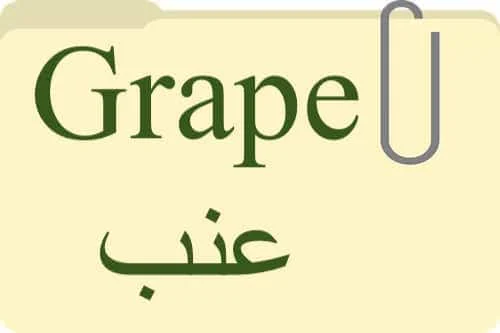 Grape عنب in Quran Grape عنب in Quran
