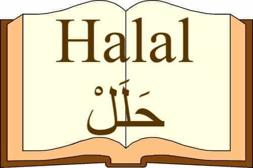 Halal حَلَلْ in Quran