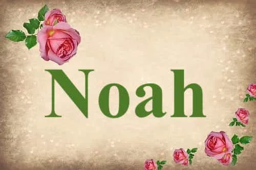 Noah in Bible Noah in Bible