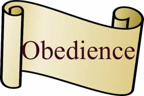 Obedience in Quran