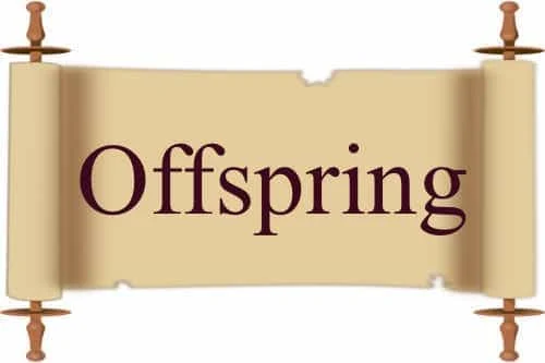 Offspring in Quran