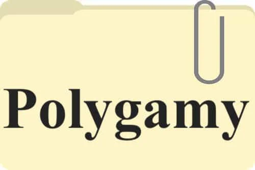 Polygamy in Bible