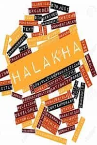 Critical Philosophy of Halakha Jewish Law