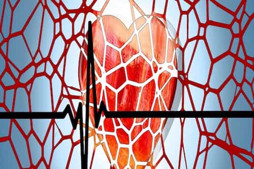 Life is in the Blood 1 Heart pumping blood