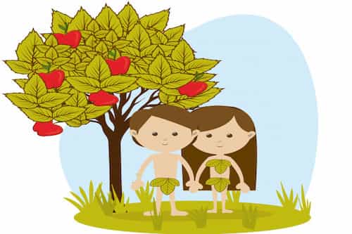 Adam Eve Illustration Adam Eve Tree