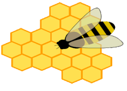 Honey Hive Honey Bee Hive