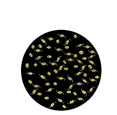 Universe Ball Expanding Universe Expansion Animation