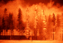 Afflictions Fire Fire Afflictions Animation