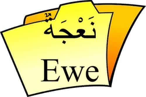 Ewe نَعْجَةٌ in Quran Ewe نَعْجَةٌ in Quran