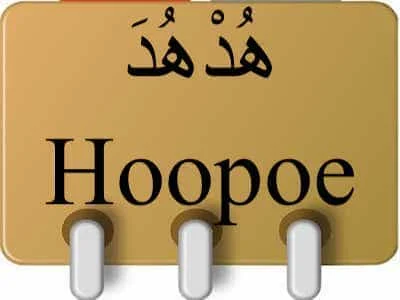 Hoopoe هُدْهُدَ in Quran