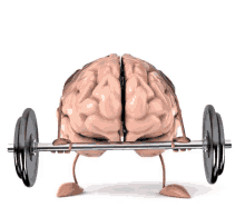 Brain Training Brain Training