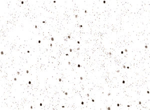 Expanding Universe Galaxies Going Far From Each Other