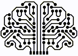 Neurons Synaptic Connections Neurons Synaptic Connections