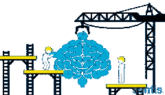 Neuroplasticity At Work Neuroplasticity At Work