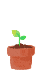 Plant Growing In Pot Plant Growing In Pot