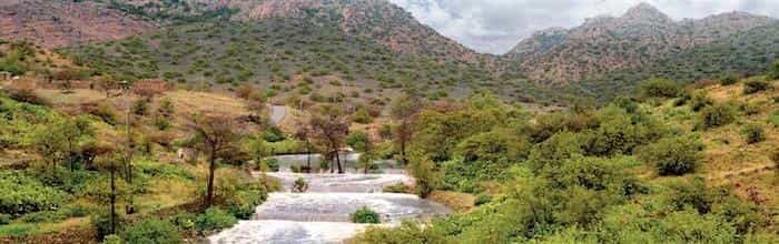 Taif City Mountains & Greenery