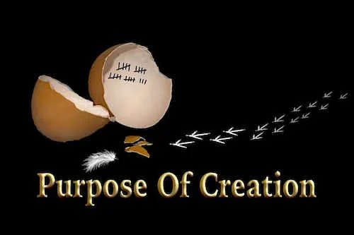 Purpose Of Creation 2
