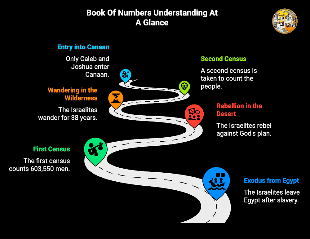 Infographic Showing Book Of Numbers Understanding At A Glance
