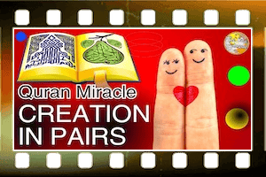 Quran On Creation in Pairs Male Female and Beyond Quran On Creation in Pairs Male Female and Beyond
