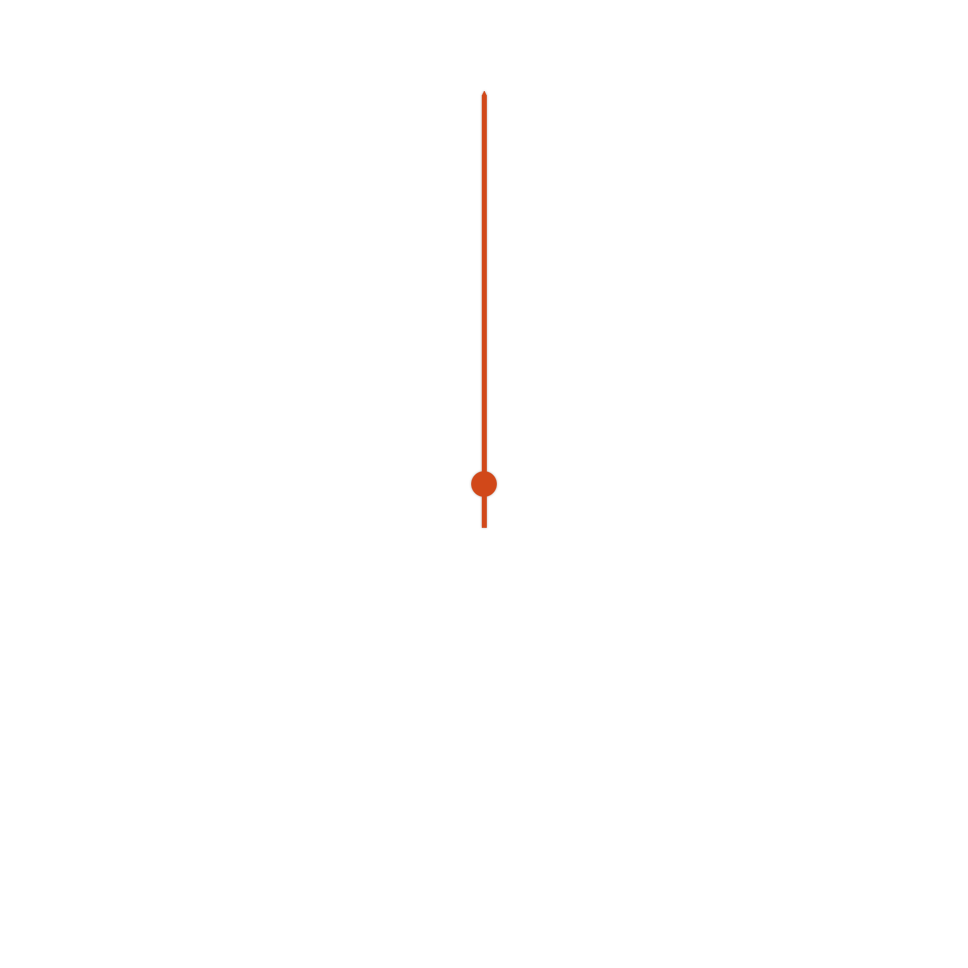 A watch's needle